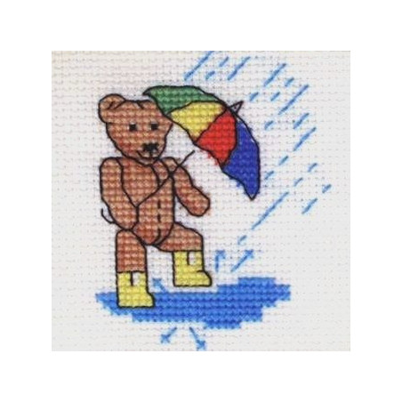 Rainy Teddy